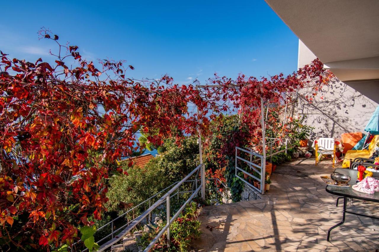 Apartments Tolic Baška Voda Eksteriør bilde